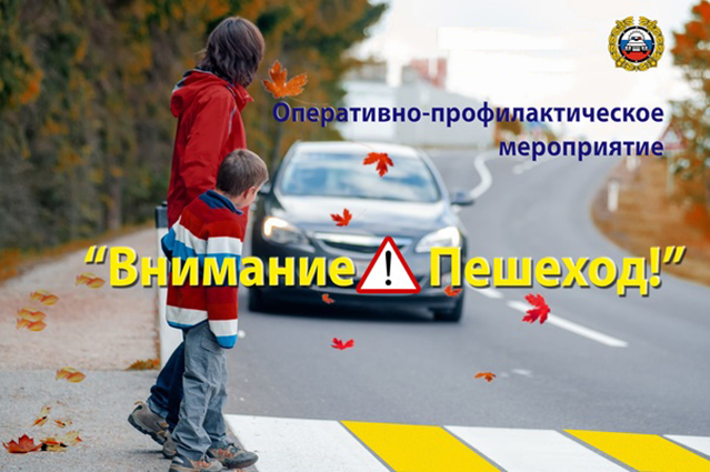 Профилактическое мероприятие «Внимание – Пешеход!»