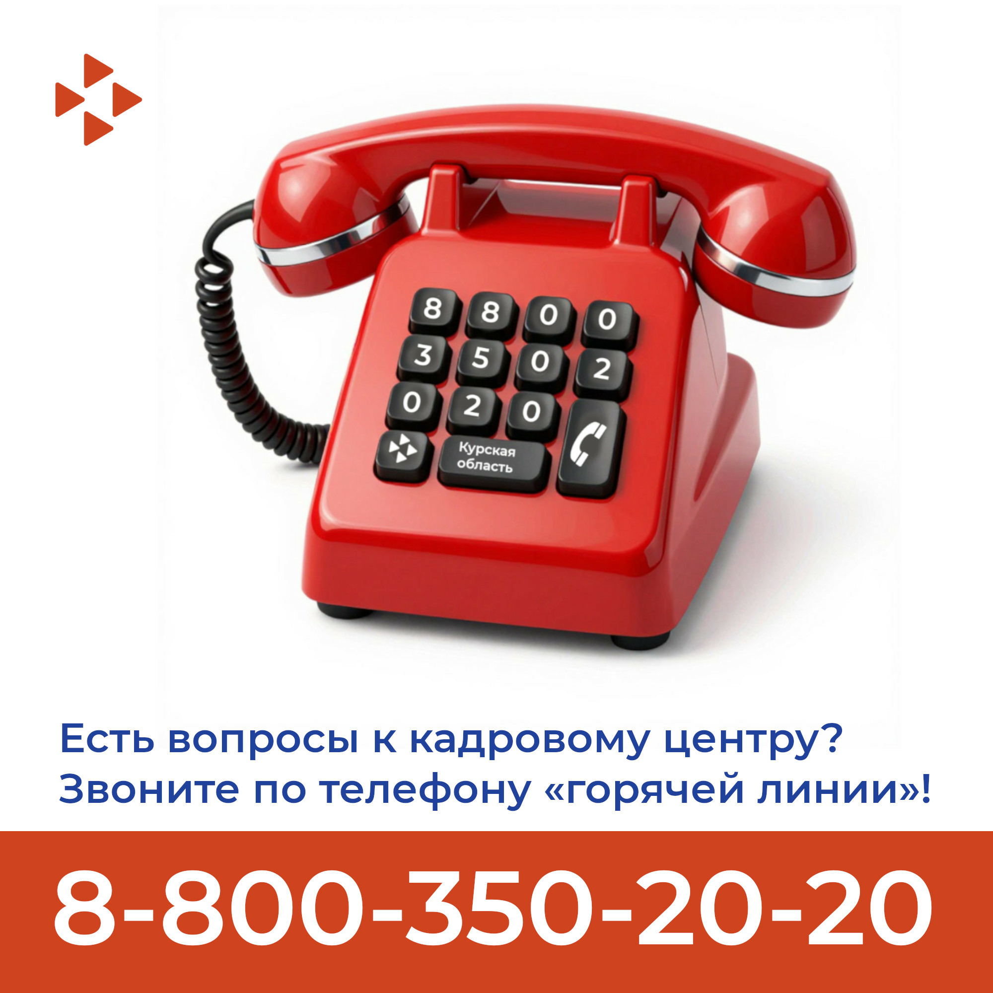 Есть вопросы к кадровому центру? Звоните по телефону «горячей линии»