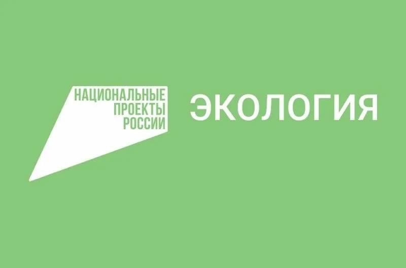 Экология бережёт природу