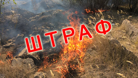 Не жгите! Животным не спастись