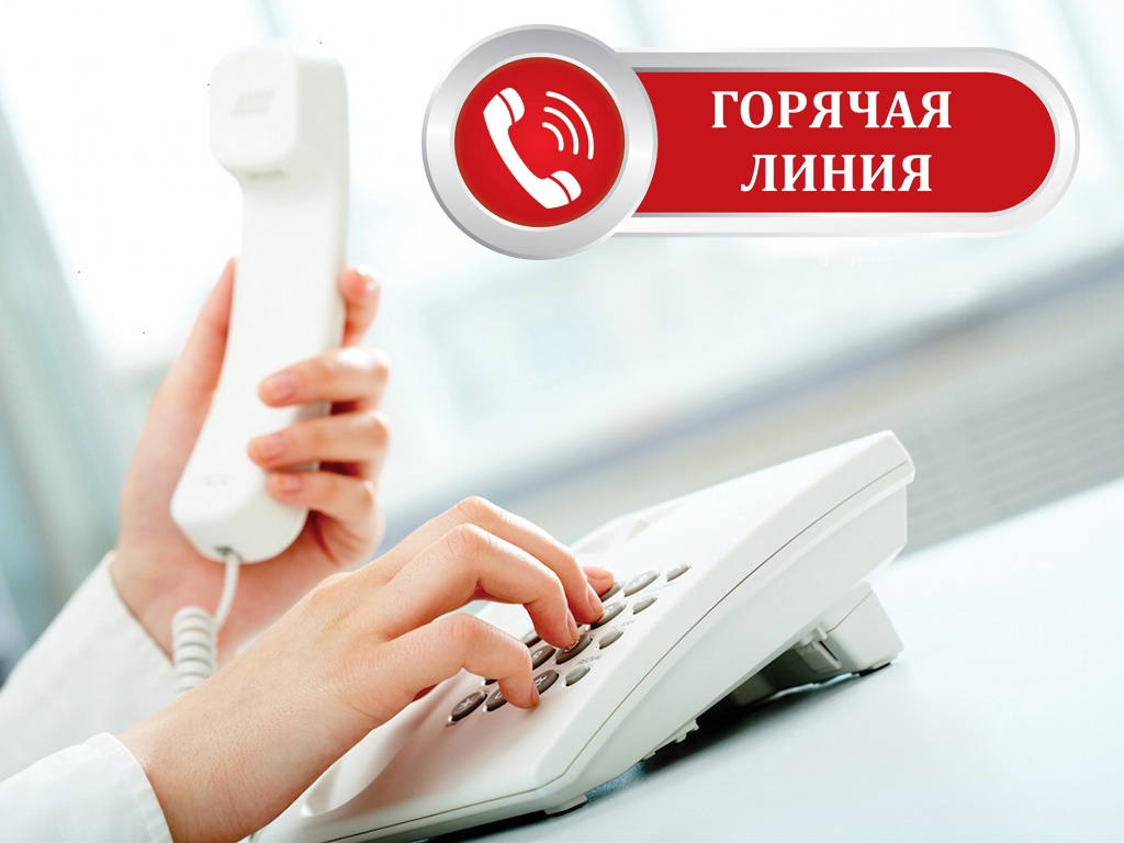Горячая линия по вопросам образования